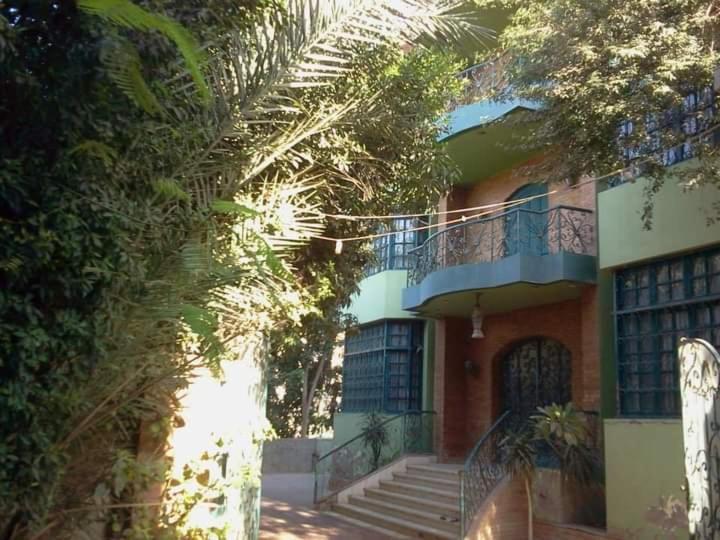Richard Pyramids Inn Hotel Kafret el-Gabal Extérieur photo